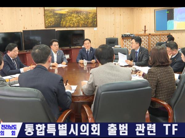 통합특별시의회 출범 관련 TF회의