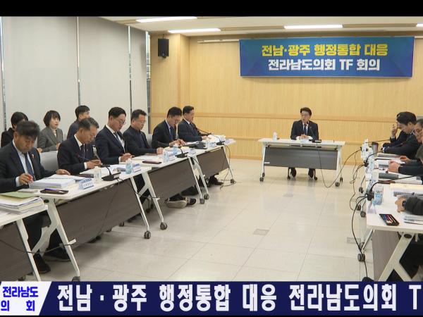 전남 광주 행정통합 대응 전남도의회 TF회의