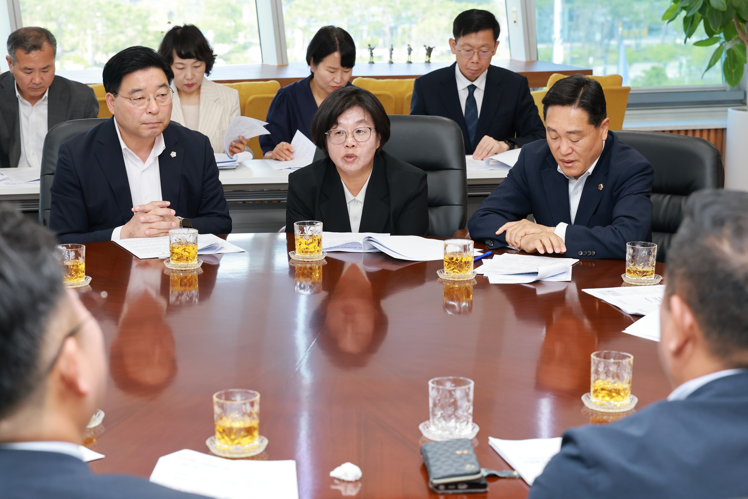 26년6월12일 전남광주 행정통합 TF 9차 회의 - 0212