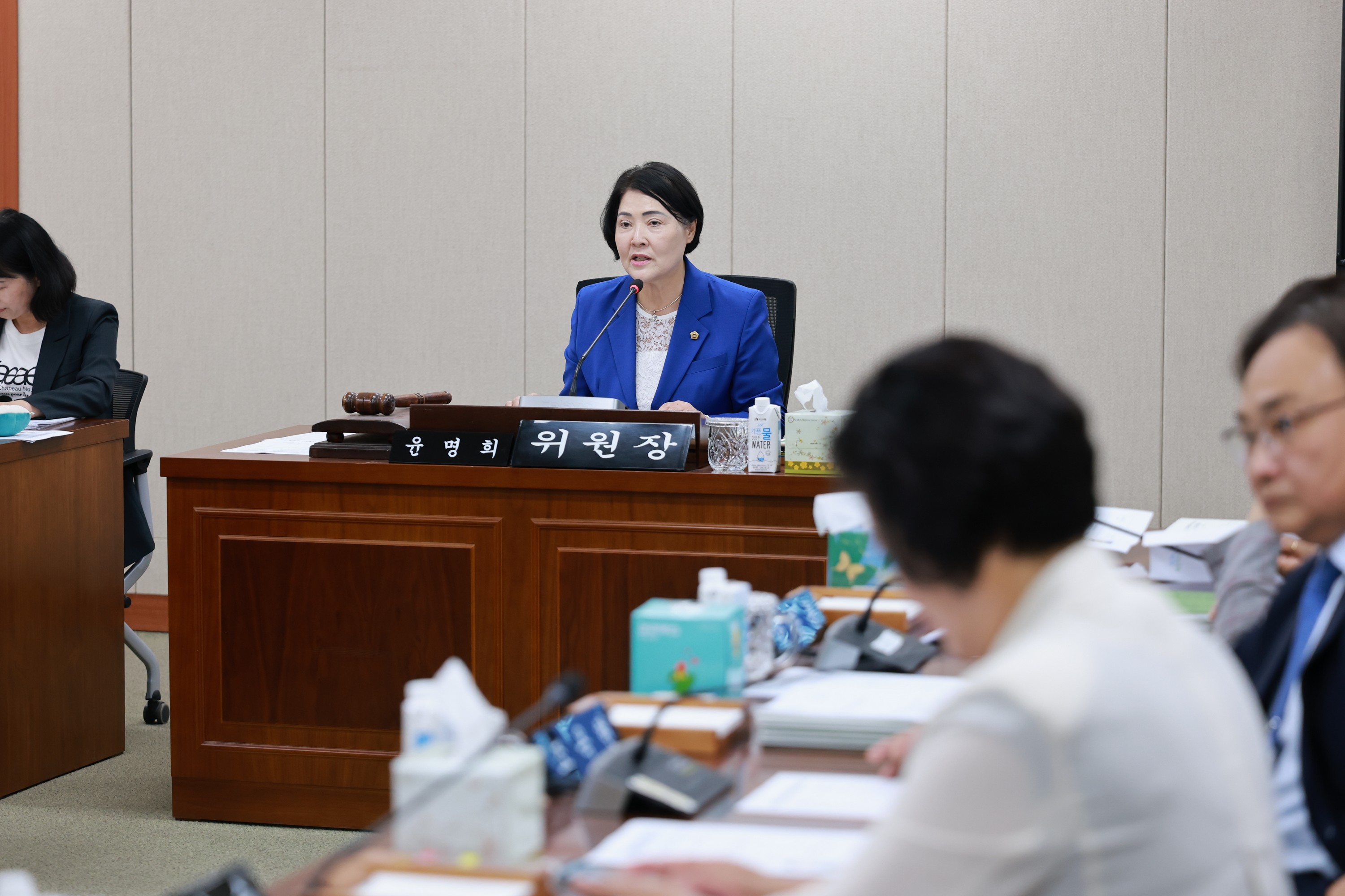 26년6월10일 제399회 임시회 경제관광문화위원회 회의 - 0042