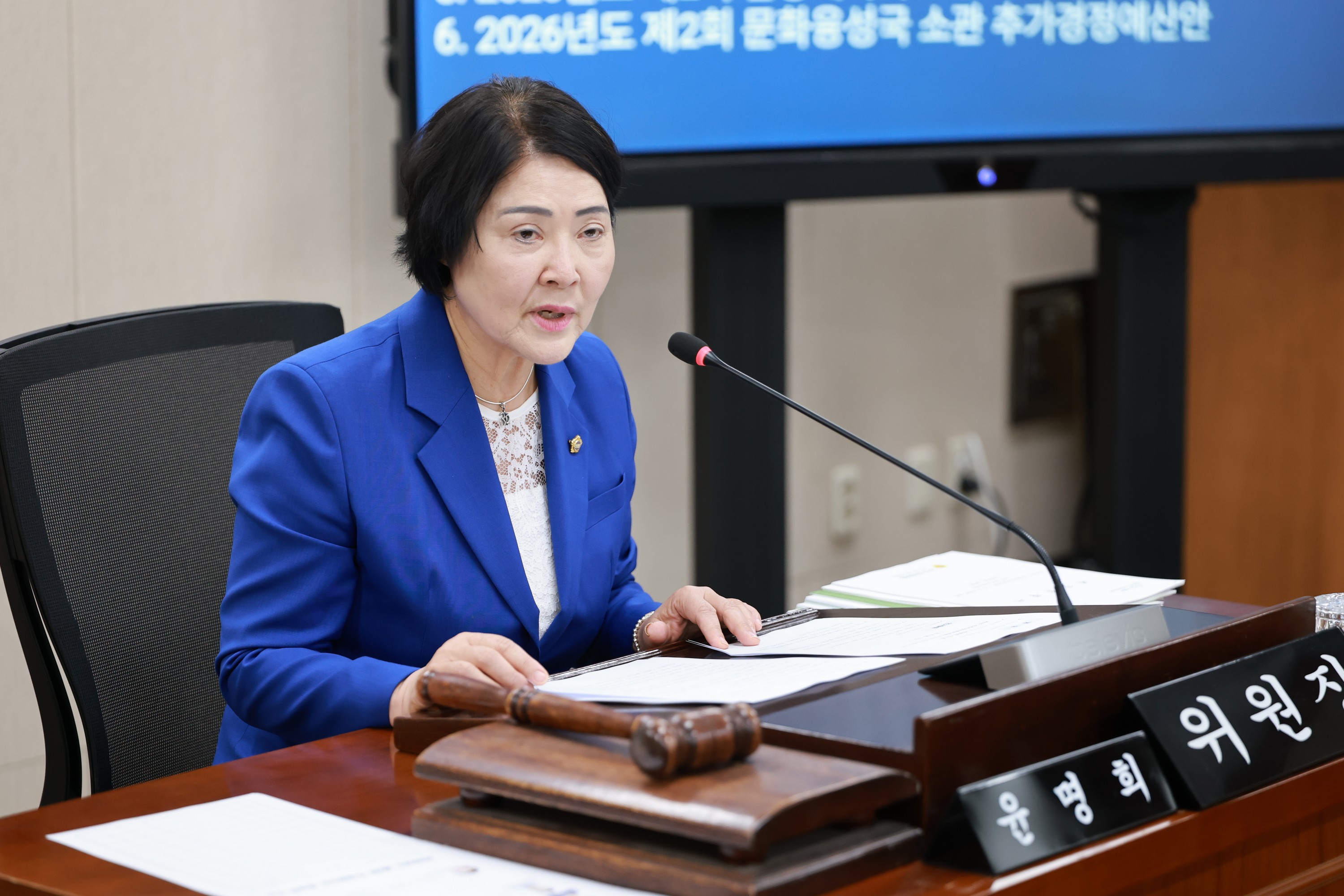 26년6월10일 제399회 임시회 경제관광문화위원회 회의 - 0063
