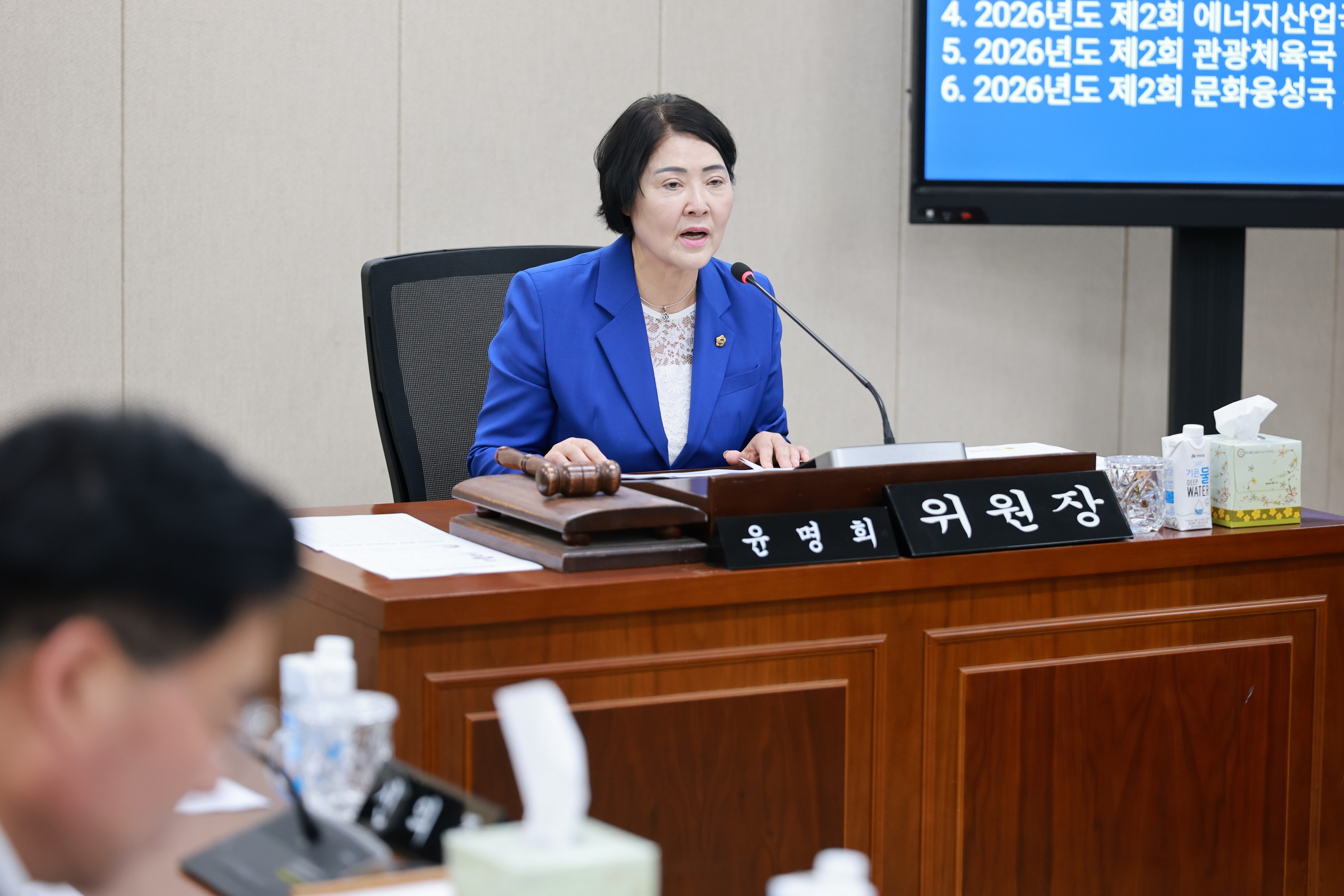 26년6월10일 제399회 임시회 경제관광문화위원회 회의 - 0054