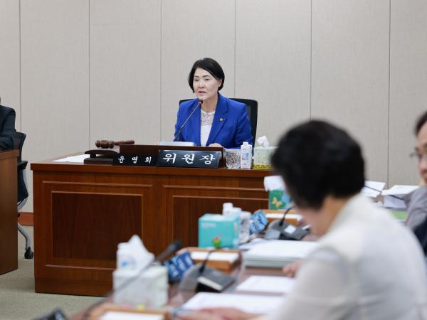 26년6월10일 제399회 임시회 경제관광문화위원회 회의 - 004 2