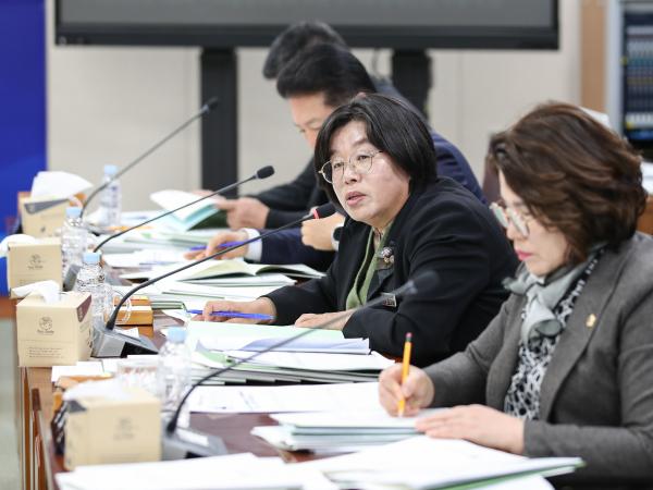 제386회 제2차 정례회 제3차 기획행정위원회 회의 첨부이미지 : 24년11월21일 제386회 제2차 정례회 제3차 기획행정위원회 회의_46.jpg