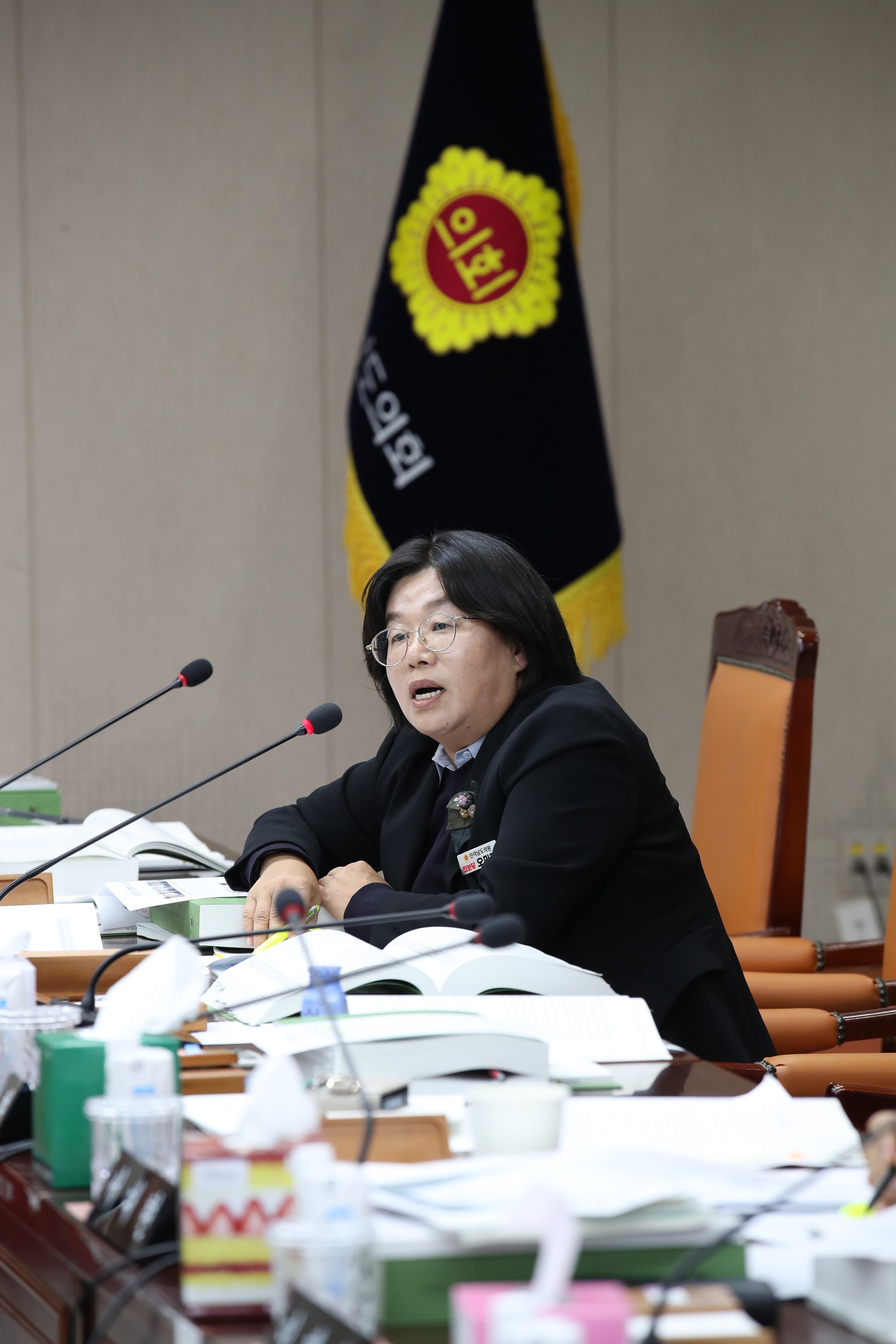 2024년 제2회 추가경정예산안 1차 심사 첨부이미지 : 24년11월27일 2024년 제2회 추가경정예산안 1차 심사 - 054.jpg
