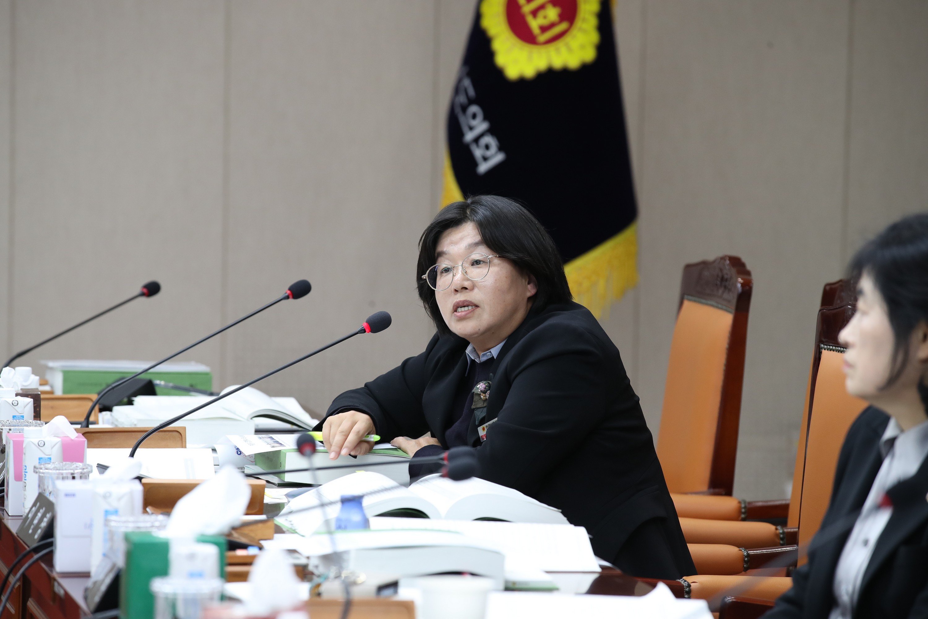 2024년 제2회 추가경정예산안 1차 심사 첨부이미지 : 24년11월27일 2024년 제2회 추가경정예산안 1차 심사 - 053.jpg