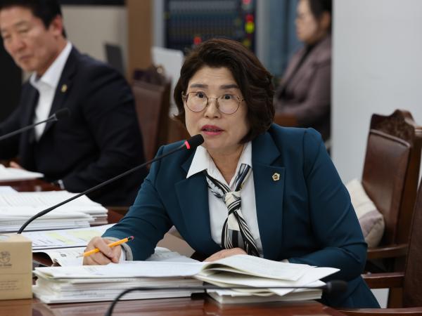 제386회 정례회 기획행정위원회 행정사무감사 첨부이미지 : 24년11월07일 제386회 정례회 기획행정위원회 행정사무감사 - 133.jpg