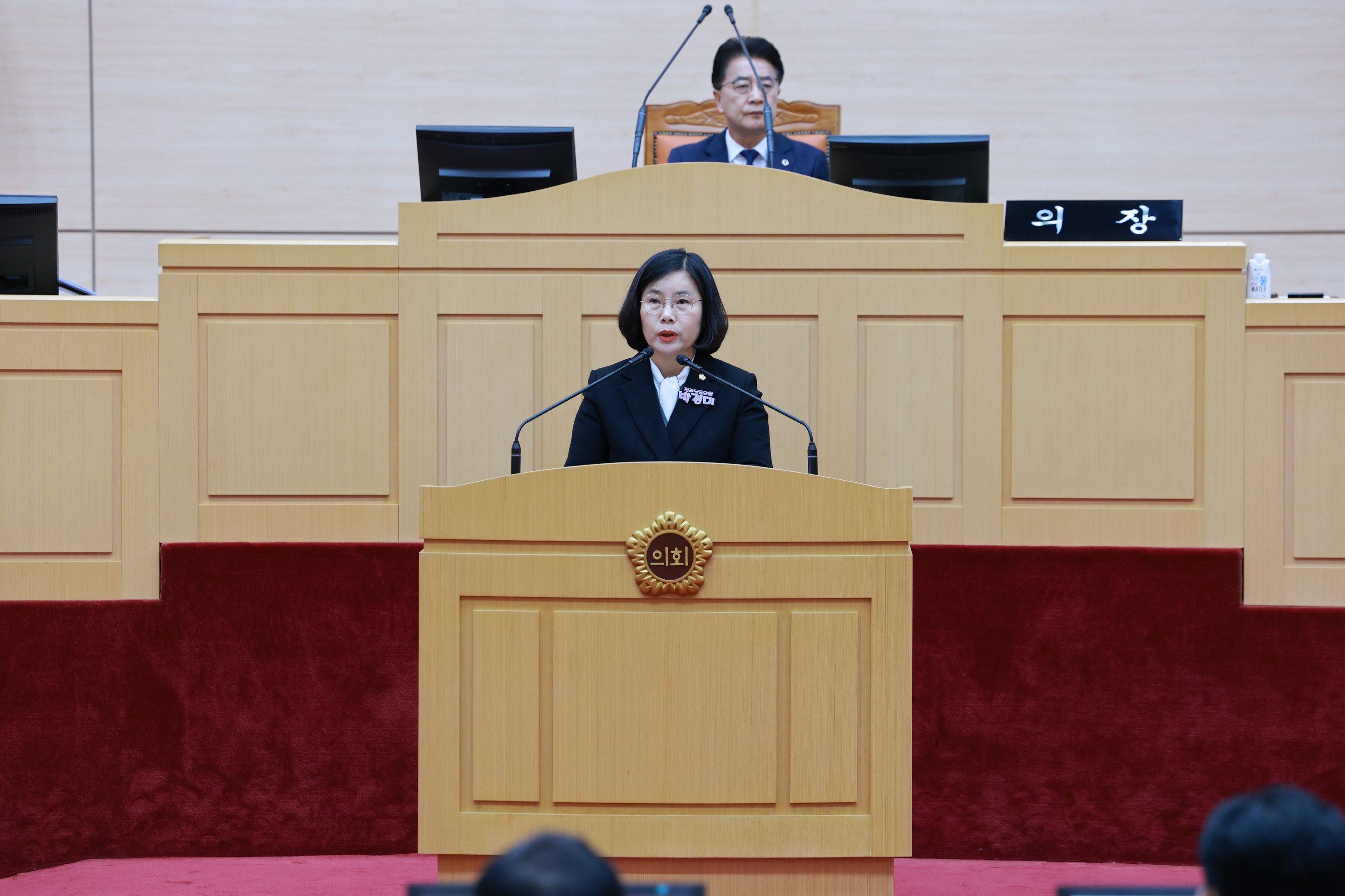 25년12월09일 제395회 제2차 정례회 제3차 본회의 - 0316