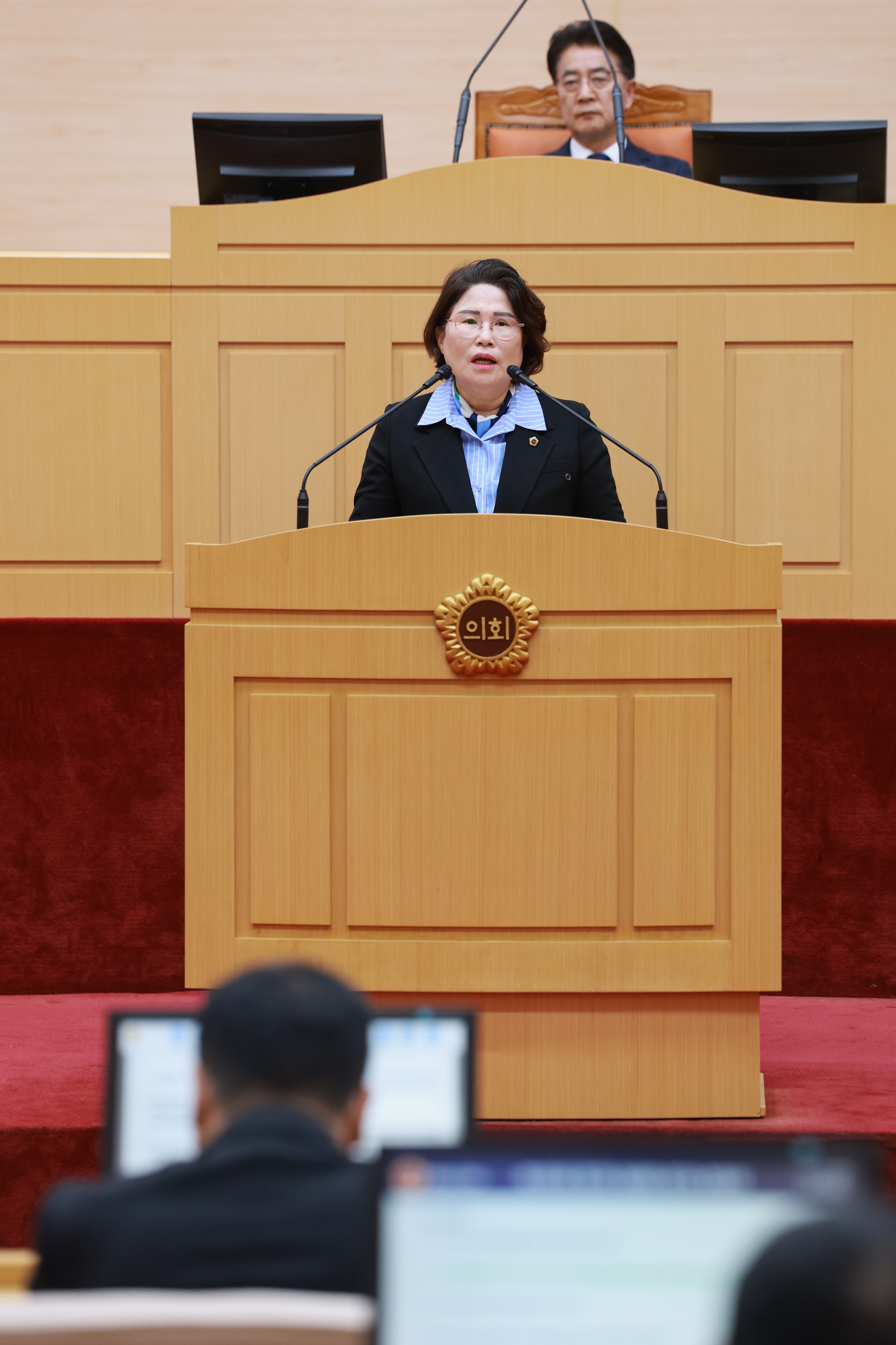 25년12월09일 제395회 제2차 정례회 제3차 본회의 - 1052