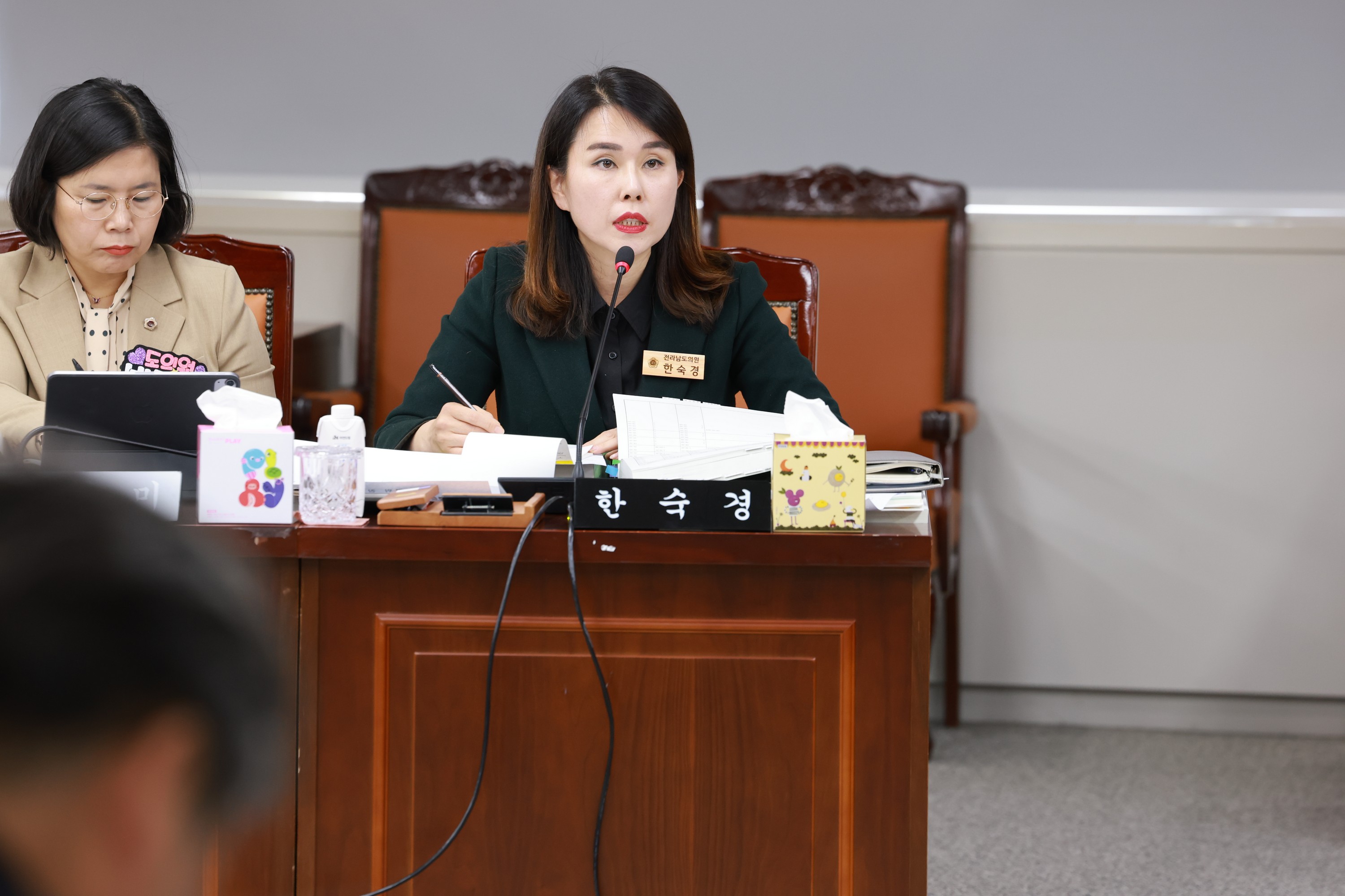 25년11월26일 전라남도 2025년 제3회 추가경정 예산안 심사 - 0486