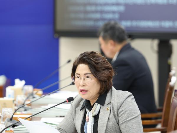 25년11월18일 제395회 제2차 정례회 기획행정위원회 추경예산안 심사 등 회의 (11) 5