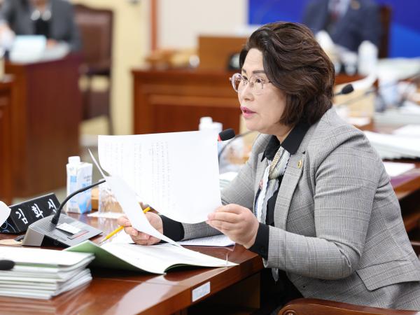 25년11월18일 제395회 제2차 정례회 기획행정위원회 추경예산안 심사 등 회의 (12) 9