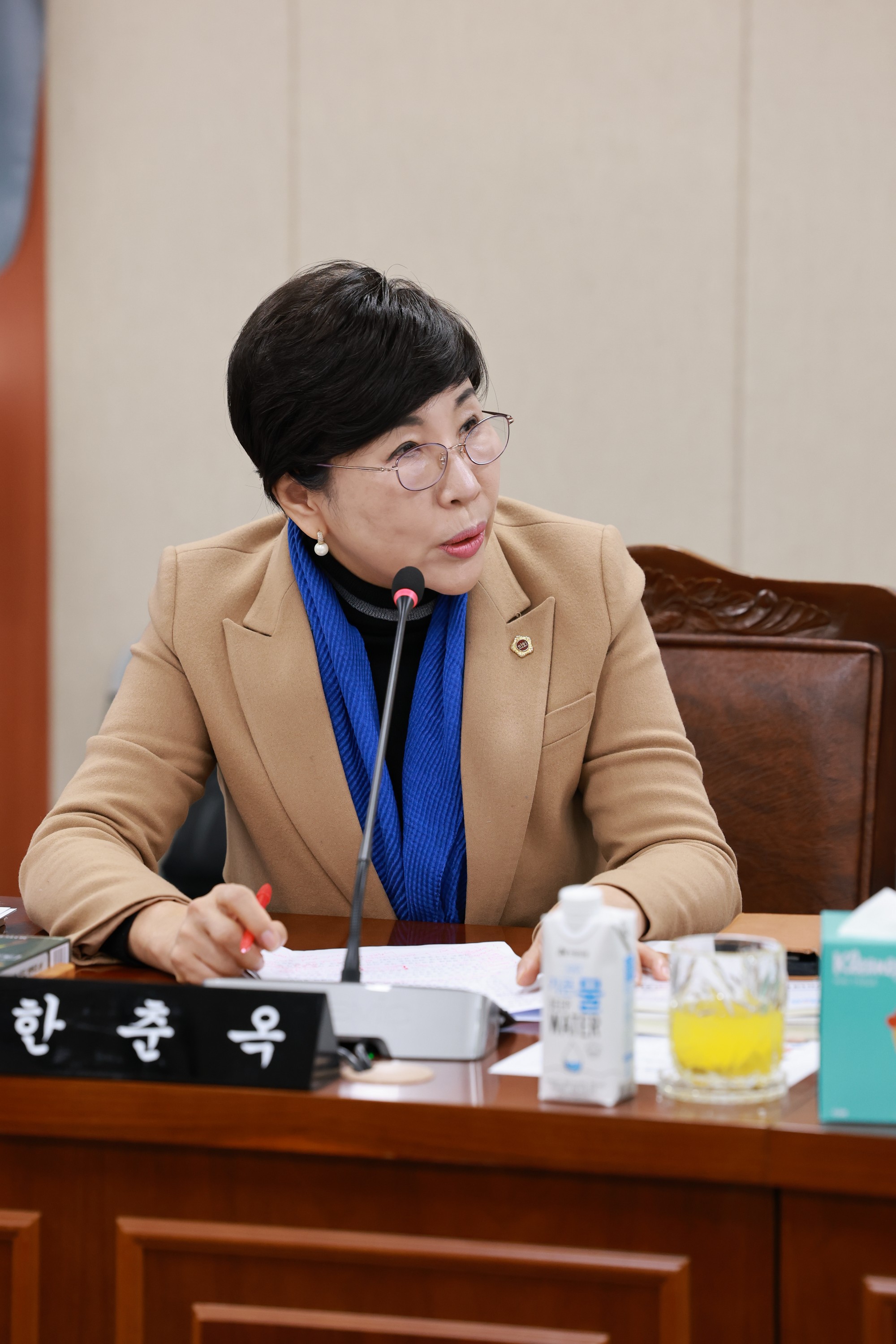 25년11월11일 제395회 제2차 정례회 경제관광문화위원회 행정사무감사 - 0351