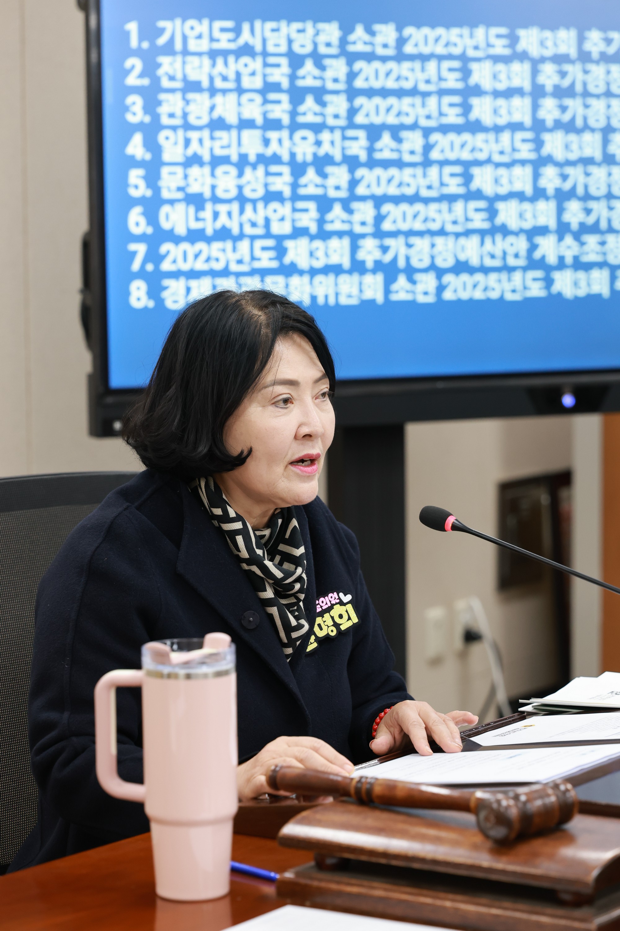 25년11월17일 제395회 제2차 정례회 경제관광문화위원회 회의 - 0021