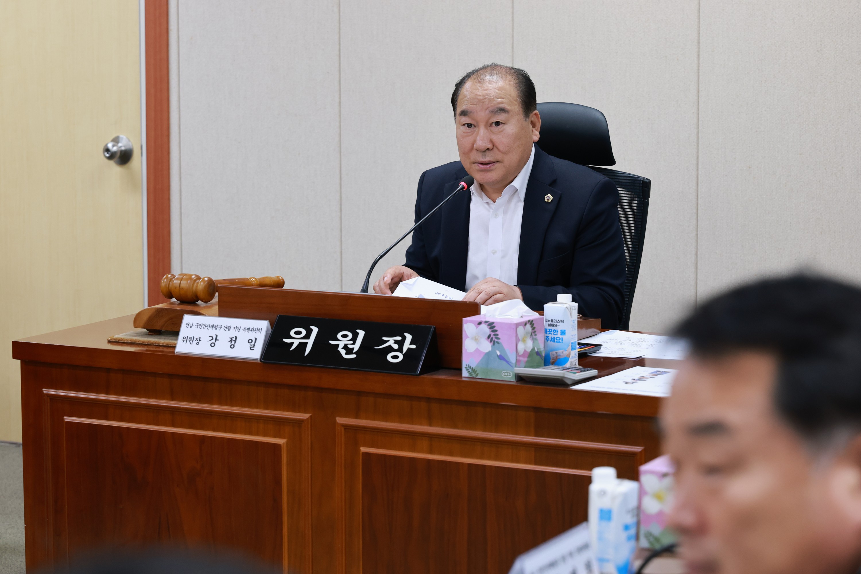 25년11월17일 전남국민안전체험관 건립 지원 특별위원회 제1차 회의 - 0091