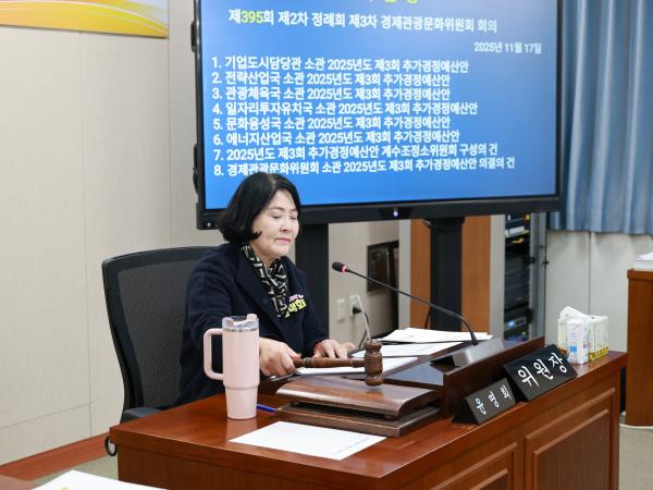 25년11월17일 제395회 제2차 정례회 경제관광문화위원회 회의 - 001 2