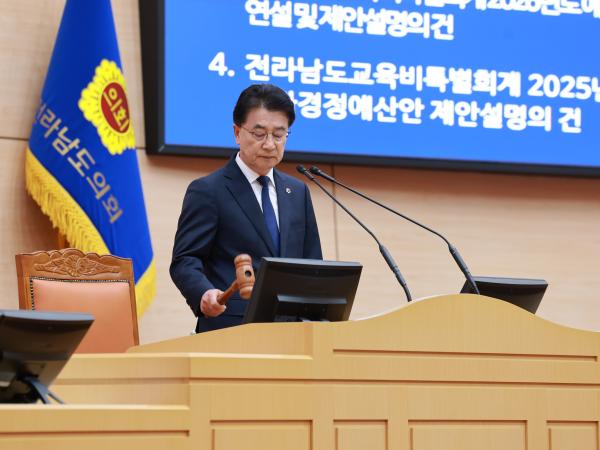 25년11월17일 제395회 제2차 정례회 제2차 본회의 - 011 8