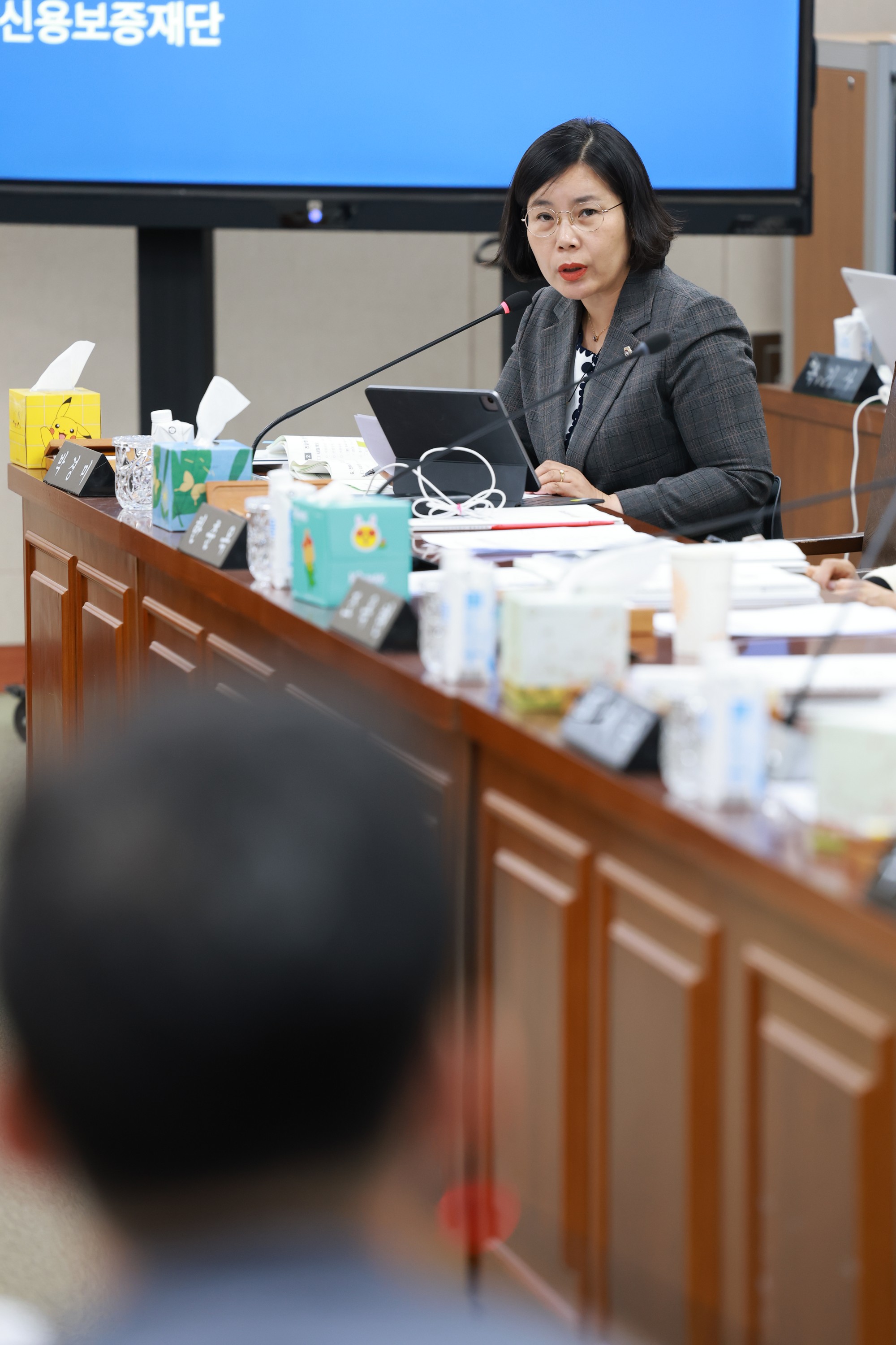 25년11월10일 제395회 제2차 정례회 경제관광문화위원회 행정사무감사 - 0528