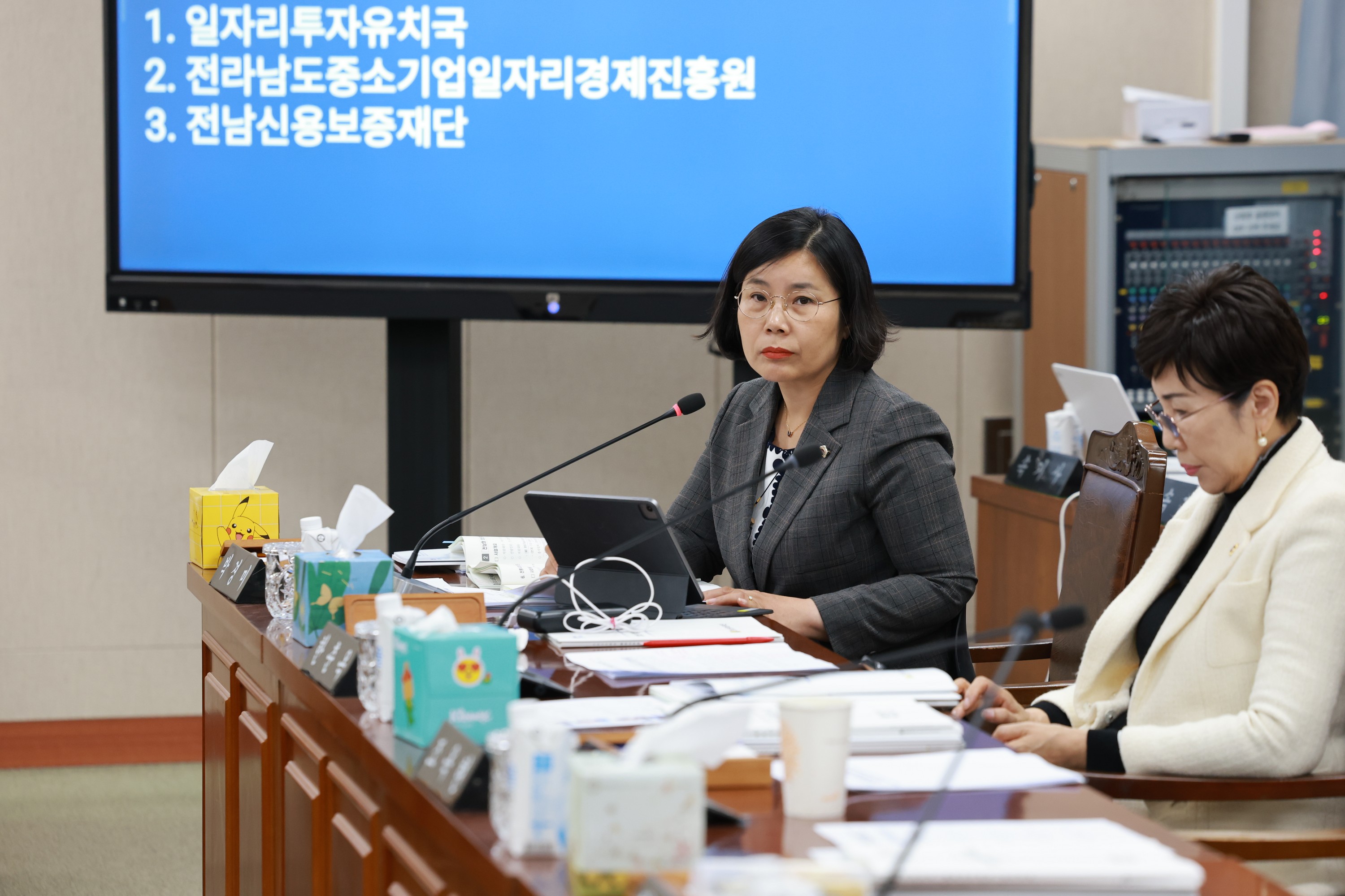 25년11월10일 제395회 제2차 정례회 경제관광문화위원회 행정사무감사 - 0485