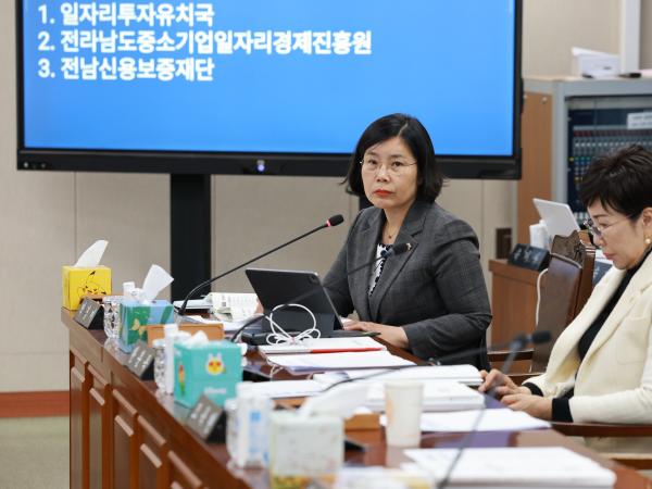 25년11월10일 제395회 제2차 정례회 경제관광문화위원회 행정사무감사 - 048 5