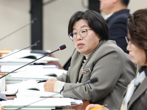 25년11월19일 제395회 제2차 정례회 기획행정위원회 예산안 심사 등 회의 (41) 2