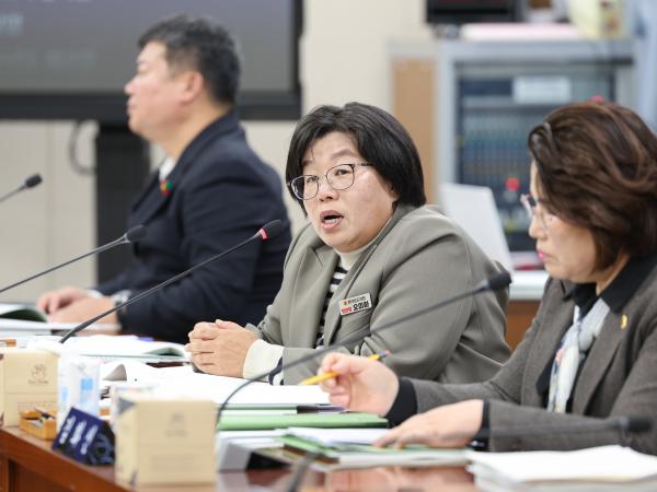 25년11월19일 제395회 제2차 정례회 기획행정위원회 예산안 심사 등 회의 (40) 4