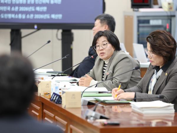 25년11월19일 제395회 제2차 정례회 기획행정위원회 예산안 심사 등 회의 (38) 6