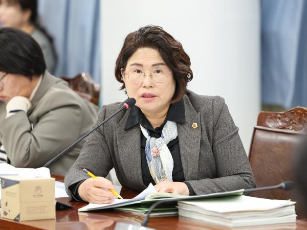 25년11월19일 제395회 제2차 정례회 기획행정위원회 예산안 심사 등 회의 (25) 7