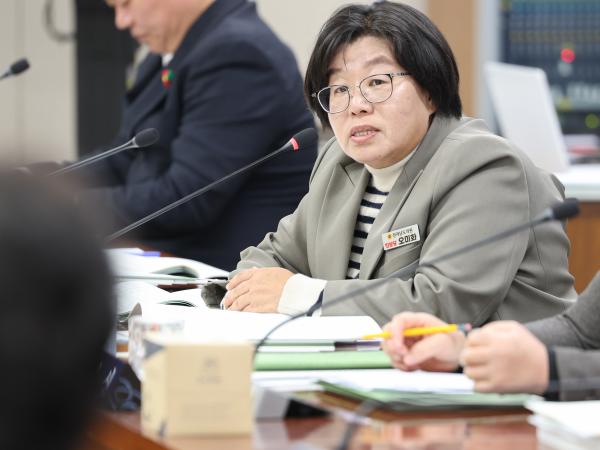 25년11월19일 제395회 제2차 정례회 기획행정위원회 예산안 심사 등 회의 (39) 8