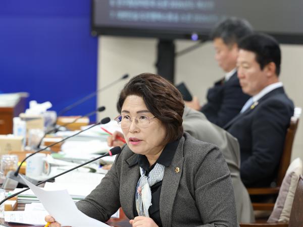 25년11월19일 제395회 제2차 정례회 기획행정위원회 예산안 심사 등 회의 (29) 3