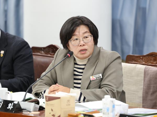 25년11월19일 제395회 제2차 정례회 기획행정위원회 예산안 심사 등 회의 (36) 9