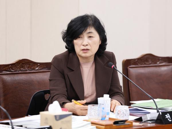 25년11월19일 제395회 제2차 정례회 기획행정위원회 예산안 심사 등 회의 (48) 8