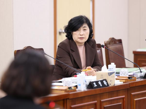 25년11월19일 제395회 제2차 정례회 기획행정위원회 예산안 심사 등 회의 (45) 4