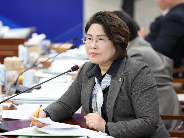 25년11월19일 제395회 제2차 정례회 기획행정위원회 예산안 심사 등 회의 (27) 9