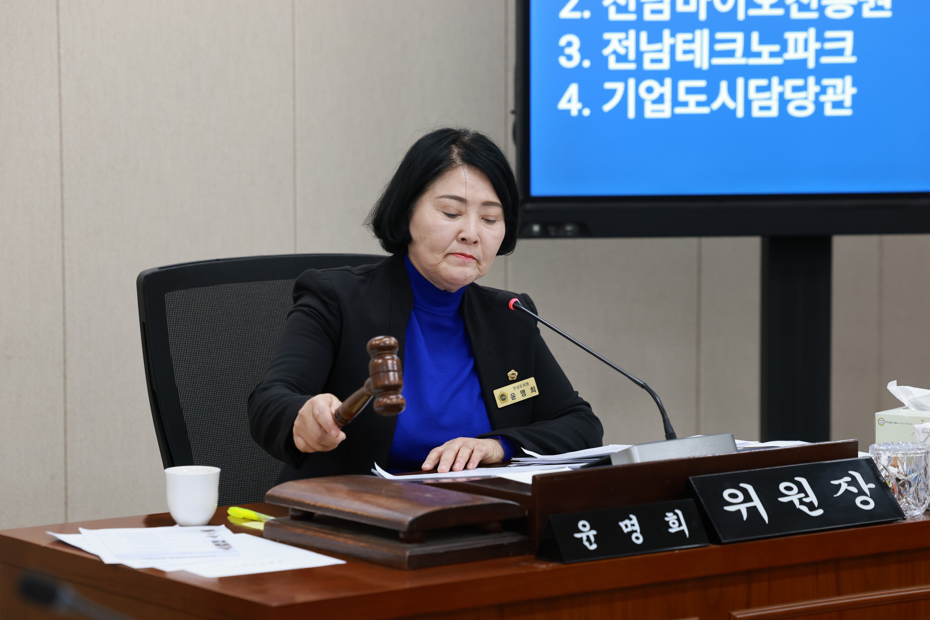 25년11월04일 제395회 제2차 정례회 경제관광문화위원회 행정사무감사 - 0368