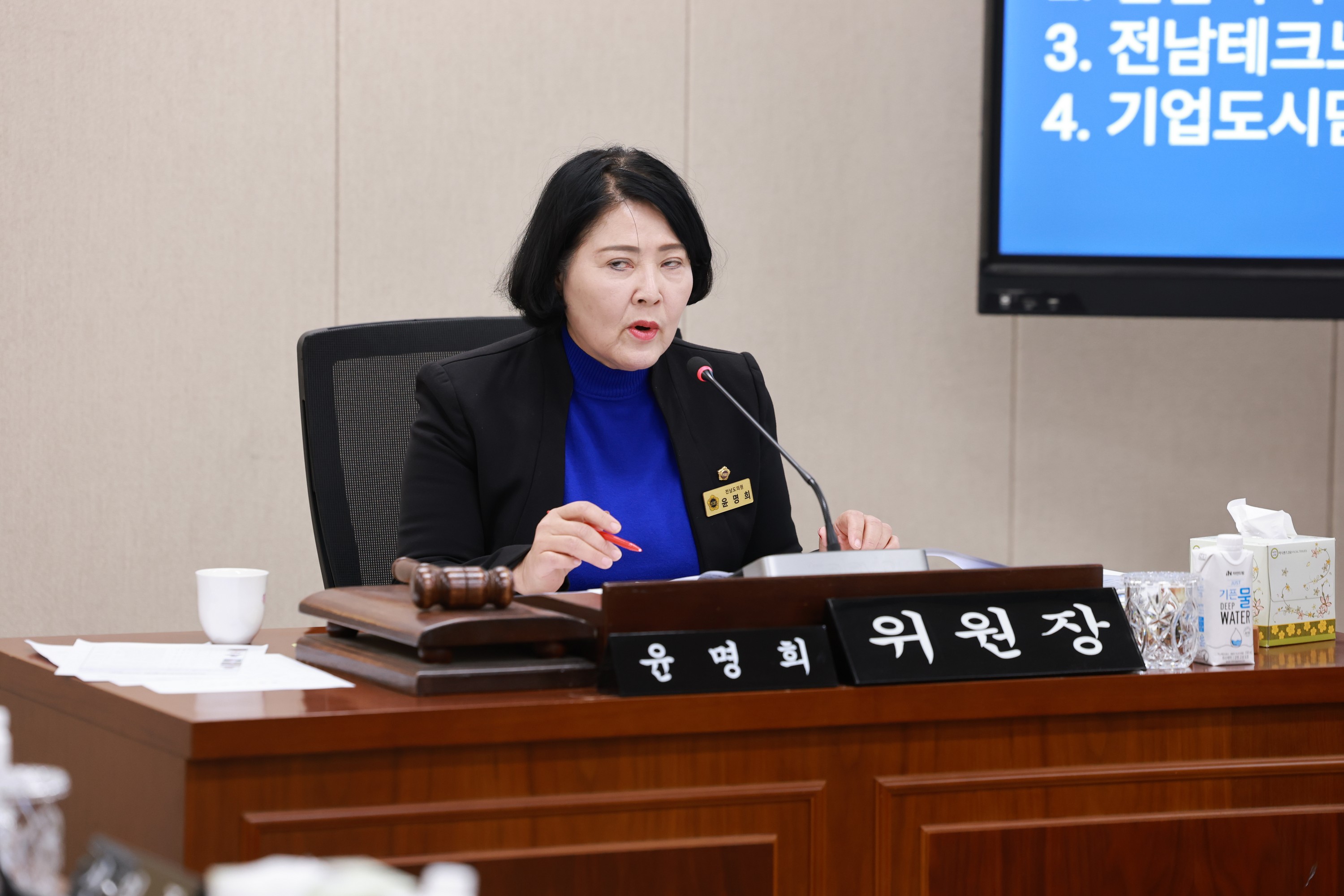 25년11월04일 제395회 제2차 정례회 경제관광문화위원회 행정사무감사 - 0186