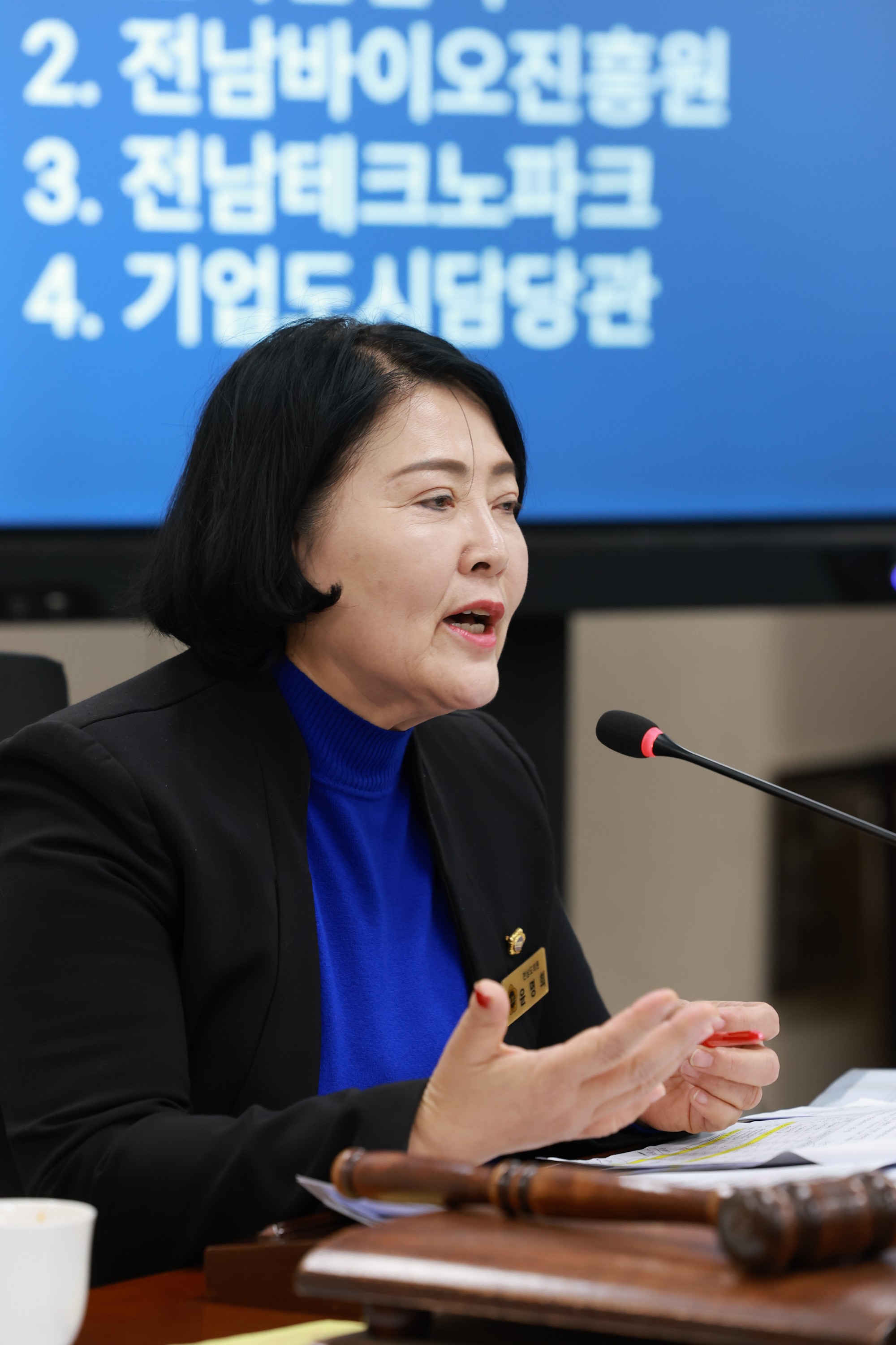 25년11월04일 제395회 제2차 정례회 경제관광문화위원회 행정사무감사 - 0247