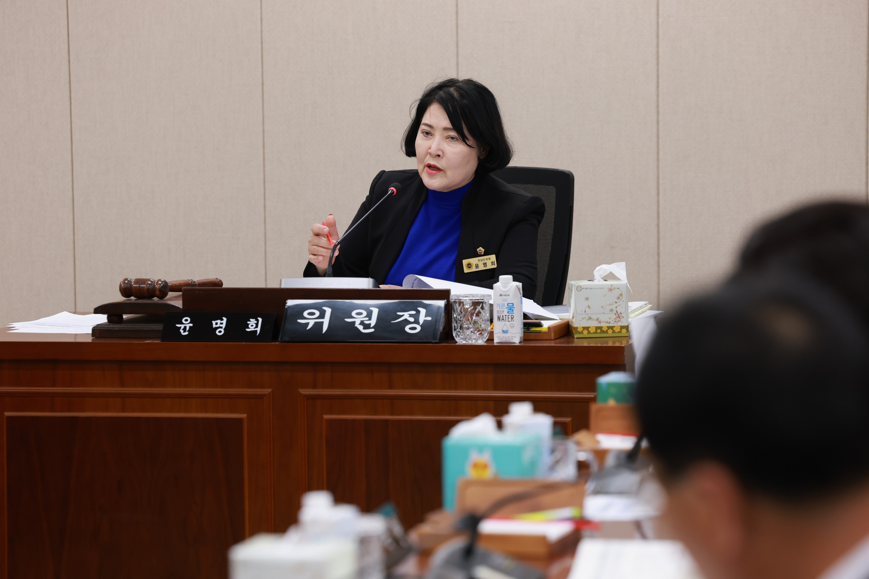 25년11월04일 제395회 제2차 정례회 경제관광문화위원회 행정사무감사 - 0133