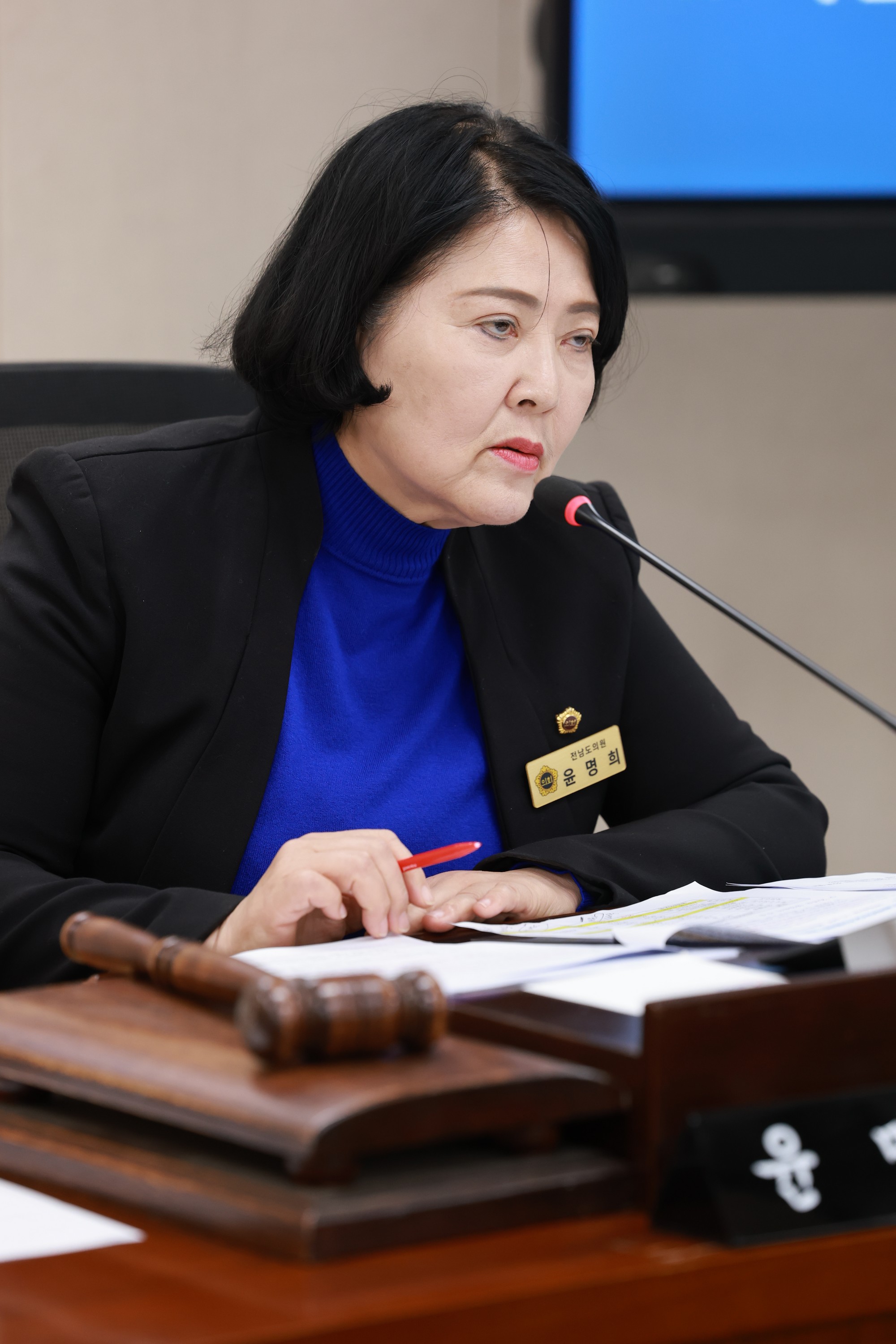 25년11월04일 제395회 제2차 정례회 경제관광문화위원회 행정사무감사 - 0231