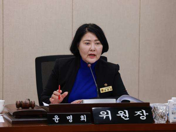 25년11월04일 제395회 제2차 정례회 경제관광문화위원회 행정사무감사 - 010 2