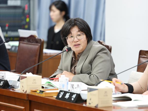 25년11월03일 제395회 제2차 정례회 기획행정위원회 행정사무감사 등 회의 (27) 2