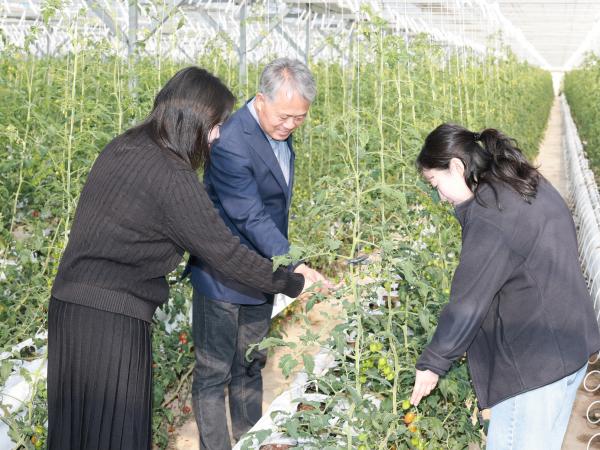 제394회 임시회 농수산위원회 토마토농가 현장방문 간담회 첨부이미지 : 25년10월22일 제394회 임시회 농수산위원회 토마토농가 현장방문 간담회 - 011.jpg