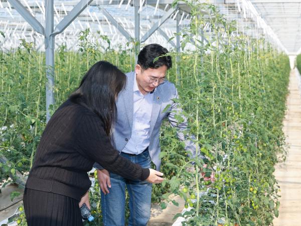제394회 임시회 농수산위원회 토마토농가 현장방문 간담회 첨부이미지 : 25년10월22일 제394회 임시회 농수산위원회 토마토농가 현장방문 간담회 - 042.jpg