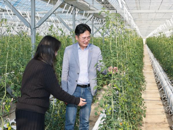 제394회 임시회 농수산위원회 토마토농가 현장방문 간담회 첨부이미지 : 25년10월22일 제394회 임시회 농수산위원회 토마토농가 현장방문 간담회 - 043.jpg