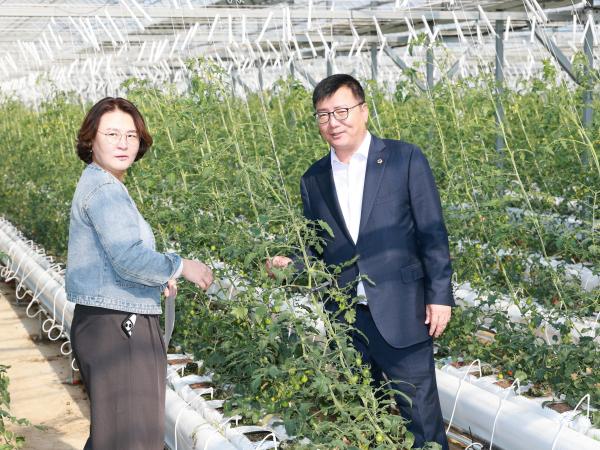 제394회 임시회 농수산위원회 토마토농가 현장방문 간담회 첨부이미지 : 25년10월22일 제394회 임시회 농수산위원회 토마토농가 현장방문 간담회 - 051.jpg