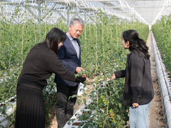 제394회 임시회 농수산위원회 토마토농가 현장방문 간담회 첨부이미지 : 25년10월22일 제394회 임시회 농수산위원회 토마토농가 현장방문 간담회 - 010.jpg