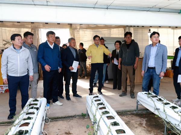 제394회 임시회 농수산위원회 토마토농가 현장방문 간담회 첨부이미지 : 25년10월22일 제394회 임시회 농수산위원회 토마토농가 현장방문 간담회 - 001.jpg