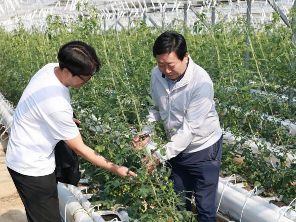 25년10월22일 제394회 임시회 농수산위원회 토마토농가 현장방문 간담회 - 046 5
