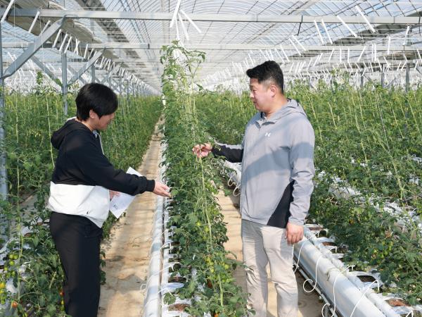 제394회 임시회 농수산위원회 토마토농가 현장방문 간담회 첨부이미지 : 25년10월22일 제394회 임시회 농수산위원회 토마토농가 현장방문 간담회 - 044.jpg