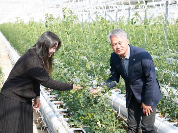 제394회 임시회 농수산위원회 토마토농가 현장방문 간담회 첨부이미지 : 25년10월22일 제394회 임시회 농수산위원회 토마토농가 현장방문 간담회 - 048.jpg